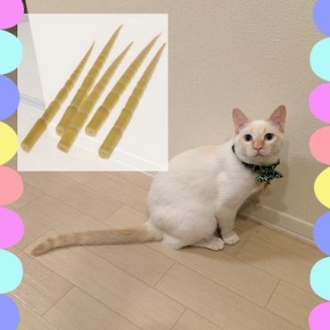 はなまるのしっぽと若いタケノコがそっくり。タケノコ族でしょうか。踊りませんけれども(笑)