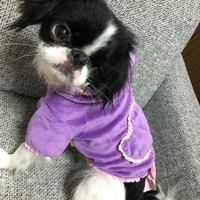 アリエル