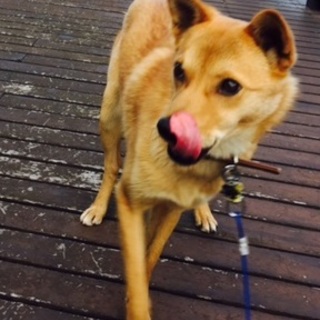 スタイル抜群!シャイで優しいBoyです。