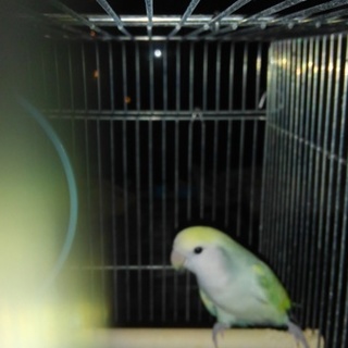 交渉中の為一時募集停止中