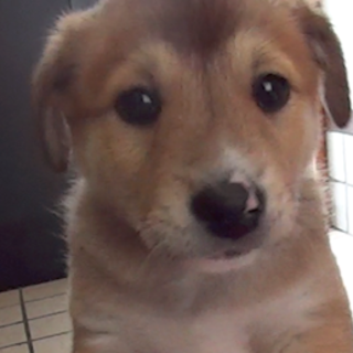 ★ありがとうございました！『感謝！』