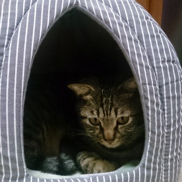 暖かいお家で、ポカポカ(*^^*)