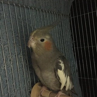 沢山の応募ありがとうございました<(_ _)>