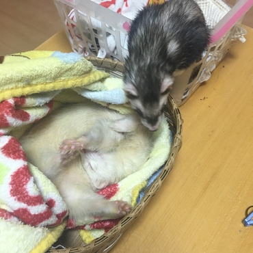 の写真