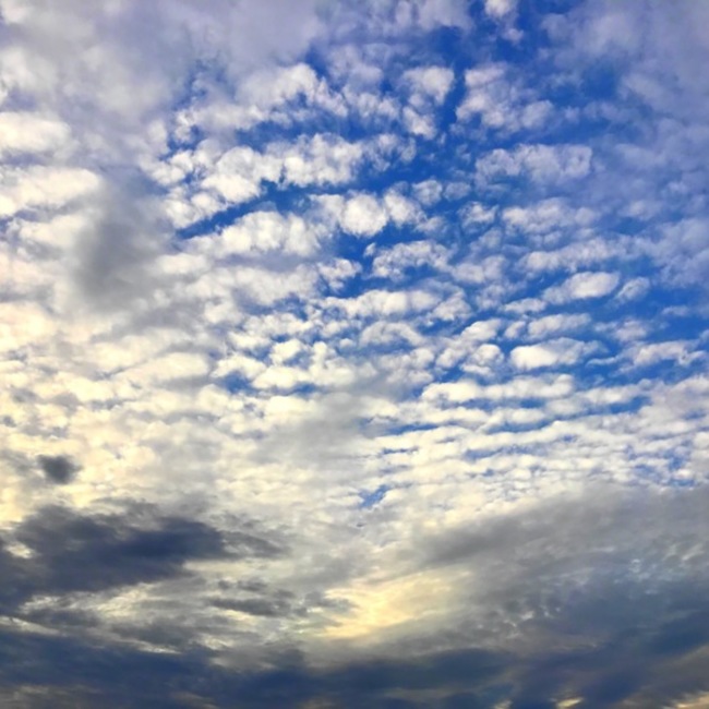 KH29のカバー写真