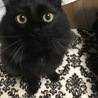 まいま