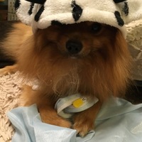 ＢＯＢ