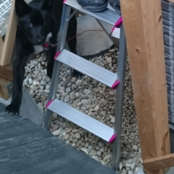 「庭のトイレの悪臭を防ぐために。」サムネイル3