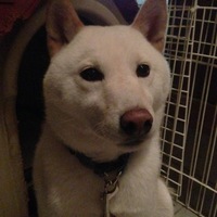 竜之介(呼名・竜)