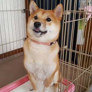 オーバーショットが特徴のかわいい女の子です。