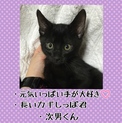 クロネコ兄弟♪
