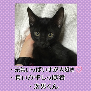 クロネコ兄弟♪