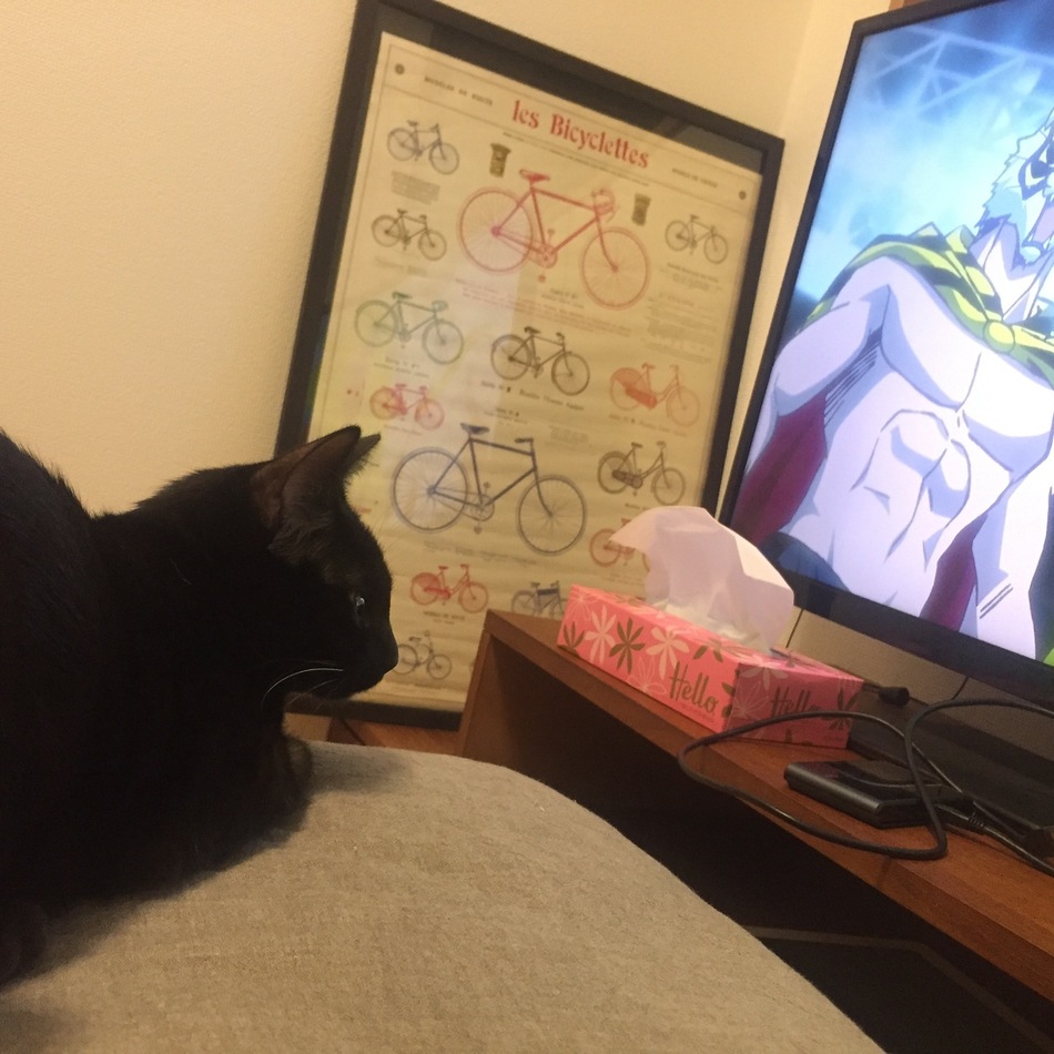 ヤマトのカバー写真