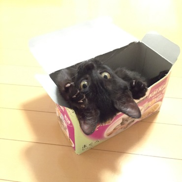 うにゃ