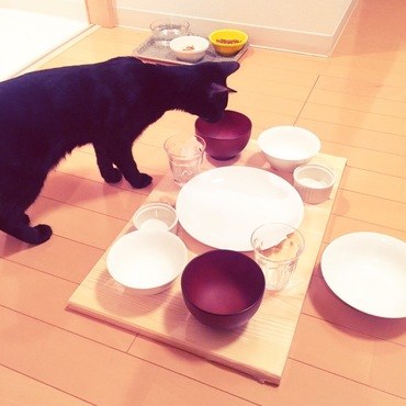 おままごと！