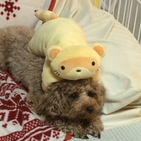 じゃむ