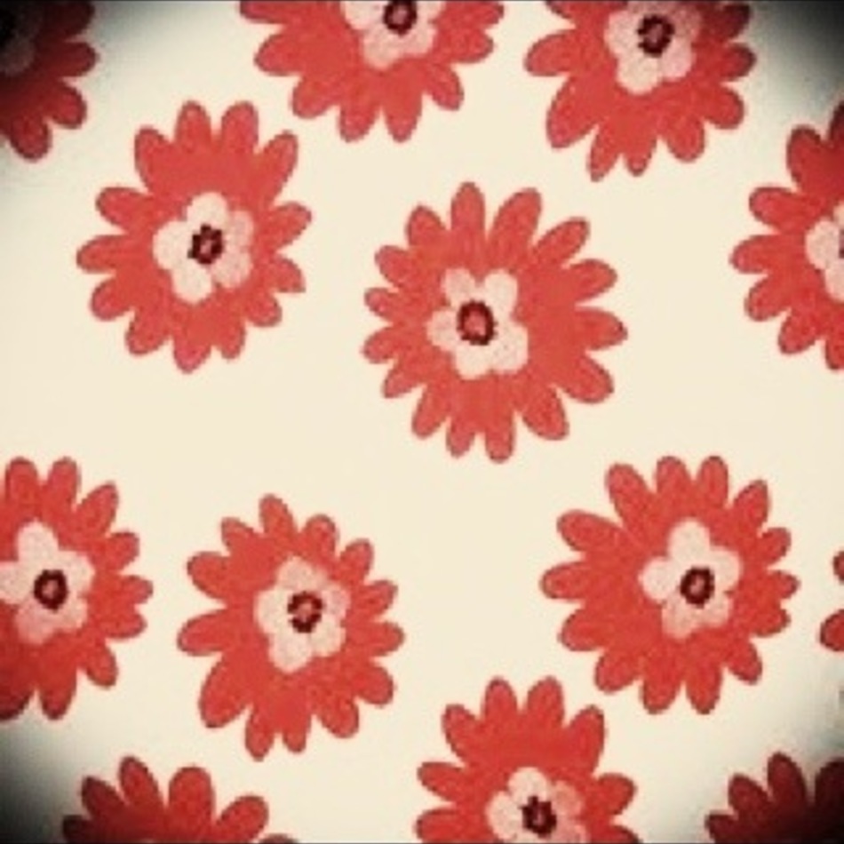 ちゃらのカバー写真