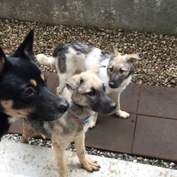 元気な愛しい子