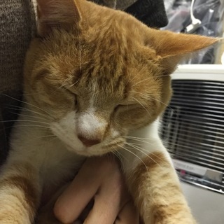 里親さん決まりました！