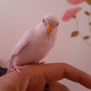 ありがとうございました。お礼を申し上げます。