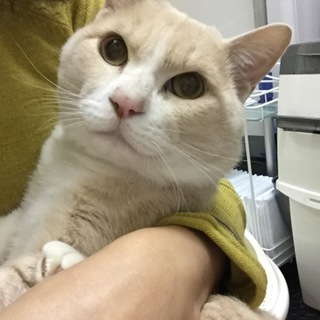 ありがとうございました！