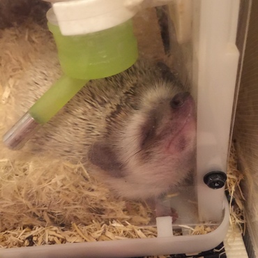 ロコ君、Zooo....  首大丈夫か(；・∀・)  