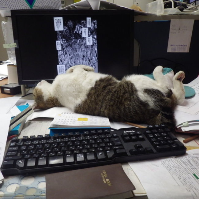 近澤のカバー写真