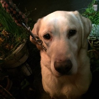 ★決まりました★