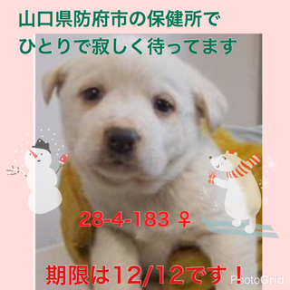 全頭譲渡されました！ありがとうございました