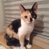  さん