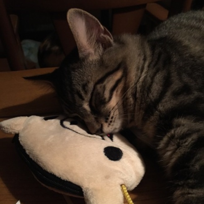 sorakun830のカバー写真