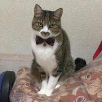 結優(ユウ)