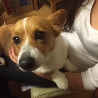 あずき