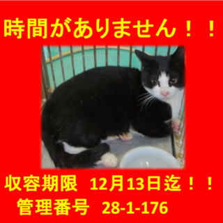 里親決定！！家族ができました(*´▽｀*)