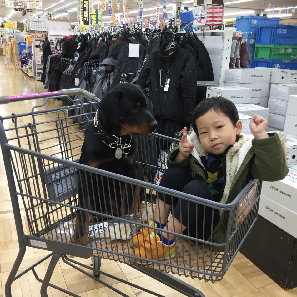 ダンのカバー写真