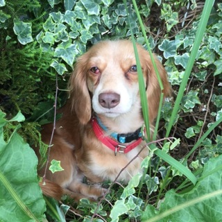 元気いっぱい！やんちゃな女の子です