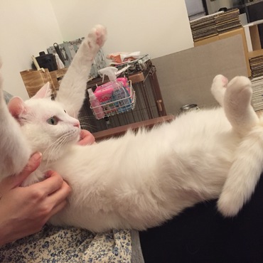 バンザーーイ♪