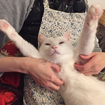 ウェーーイ！ パーリーピーポー♪