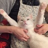 ウェーーイ！ パーリーピーポー♪