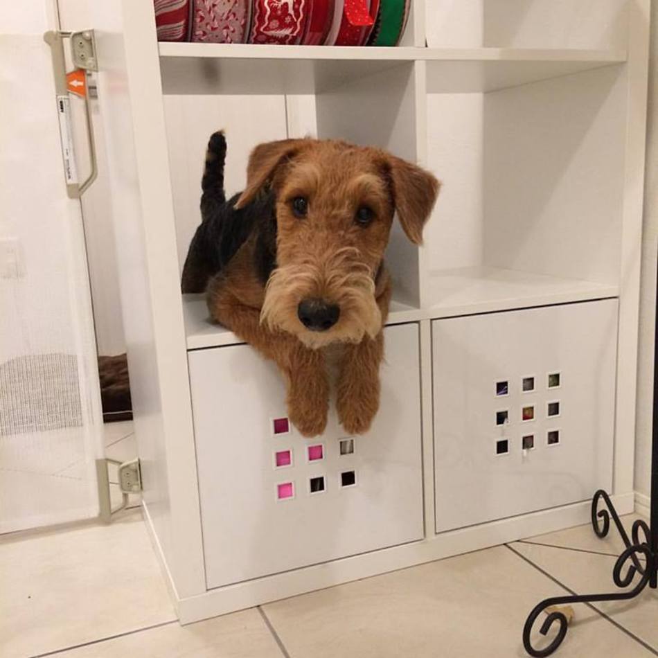 ジャックのカバー写真