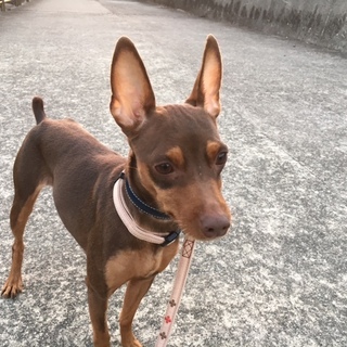 大きいけど心優しい「ユカリちゃん」