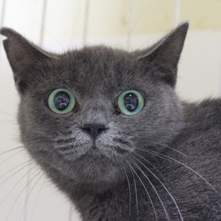 キュートな月渚（るな）