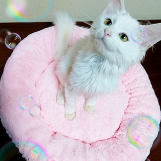 優しい家族の一員になり幸せになります☆