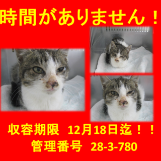 里親決定！！お迎えありがとうございました(^^♪