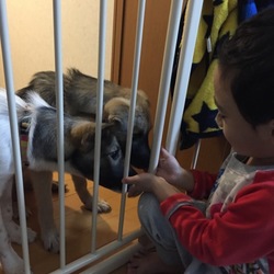 人間子供とも仲良し(^^)