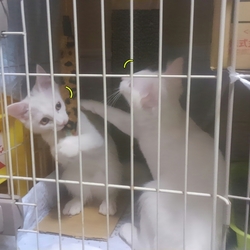 おかえりなさい♪はじめまして！