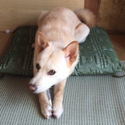 「スプーン大好き」サムネイル2