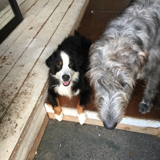 交渉中のため休止させて頂きます。