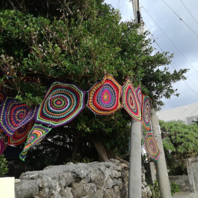 洸のカバー写真