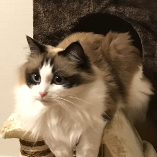 福優のカバー写真